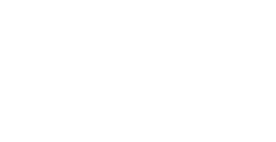 calligraphy 55