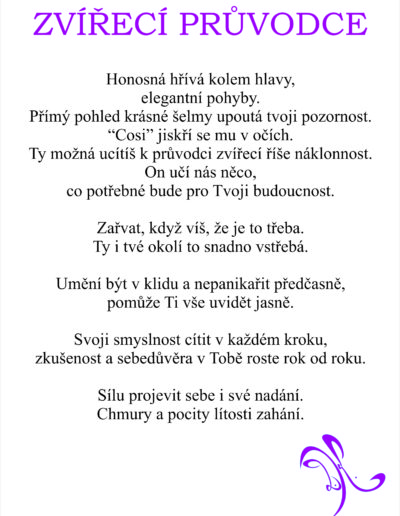Zvireci pruvodce basen