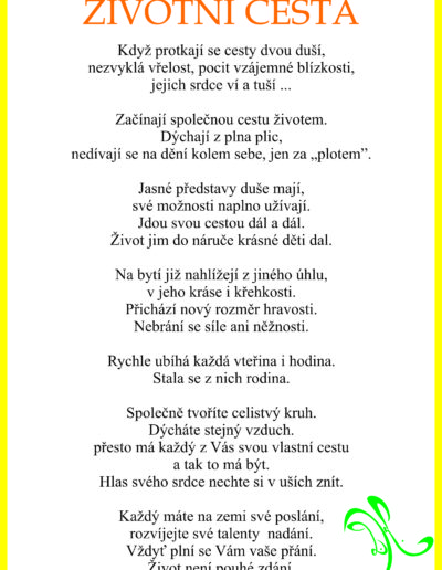 Zivotni cesta basen
