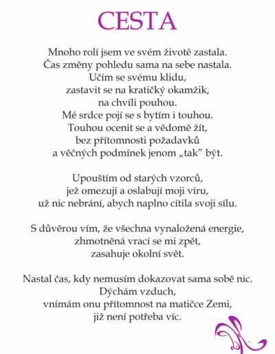 Cesta basen na miru